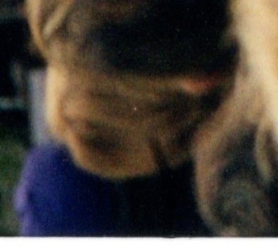 img20251227_13494131_photo2_face_1