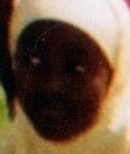 img20251227_17162149_photo3_face_8