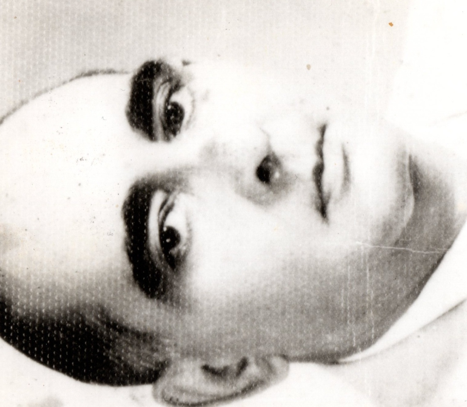 img20251228_09480546_photo4_face_0