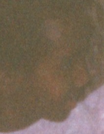 img20251228_10574906_photo2_face_2