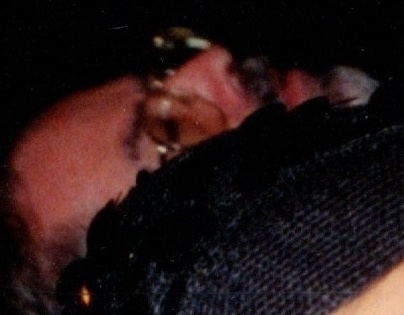 img20251228_11312827_photo1_face_3