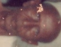 img20251228_11453299_photo3_face_1