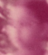 img20251228_12285188_photo2_face_0