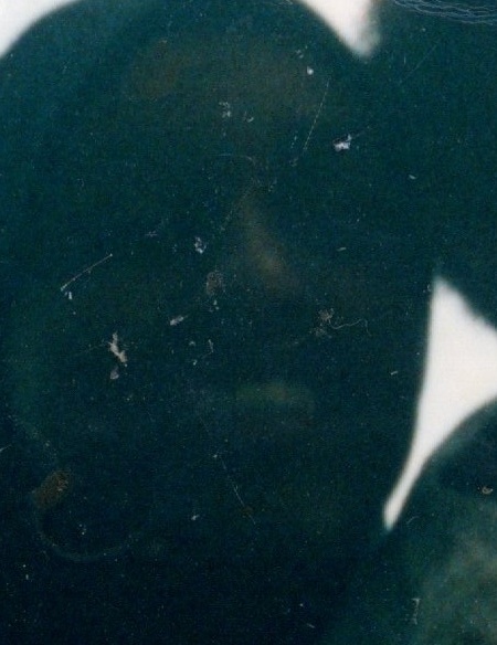 img20251228_12583428_photo1_face_2